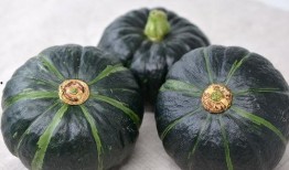 热门大瓜莫里秀 吃瓜是什么意思,莫里秀引领的网络热词现象